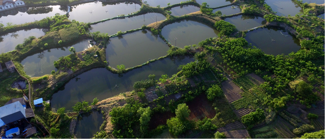 水肥一體化 水肥一體化